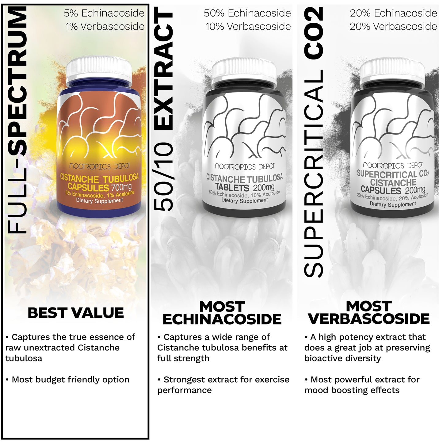 Reignite™ Cistanche Extract