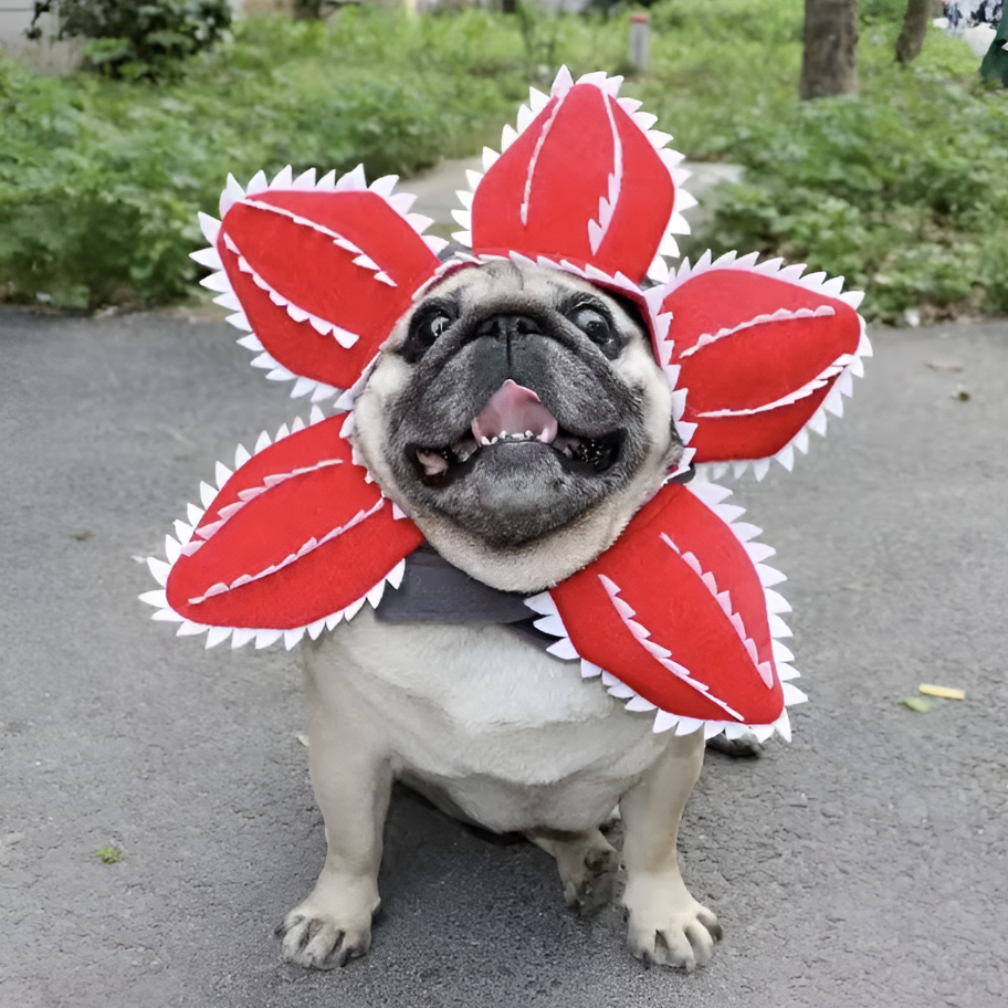 Corvanna™ Monster Paws