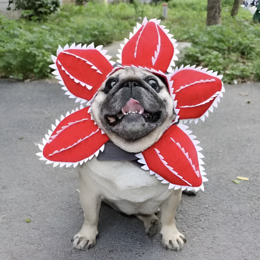 Corvanna™ Monster Paws